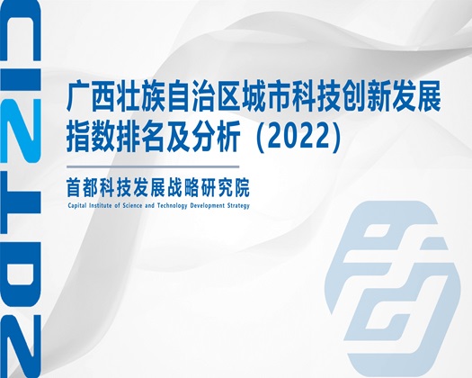 日我的骚逼【成果发布】广西壮族自治区城市科技创新发展指数排名及分析（2022）